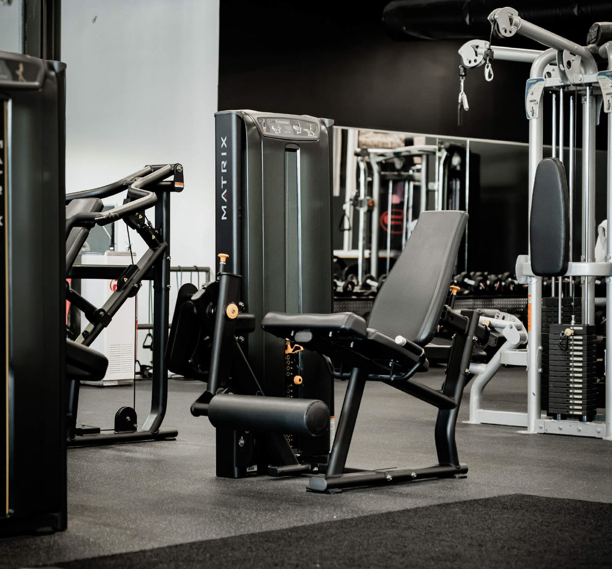 Zone Musculation & Beyond
